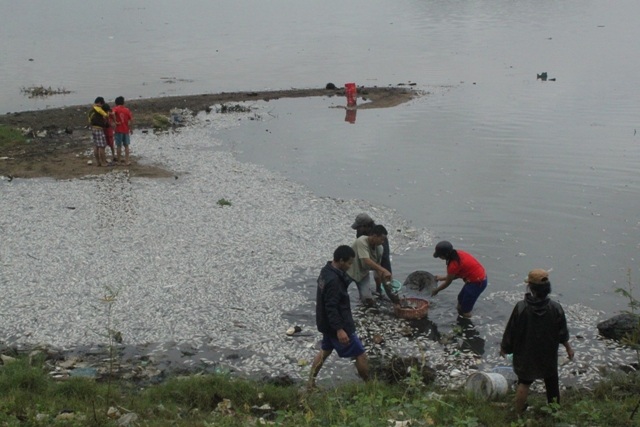 Người lớn, trẻ nhỏ đi vớt cá