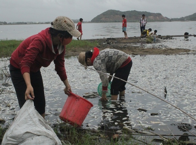Nhiều người dân nói vớt về làm phần