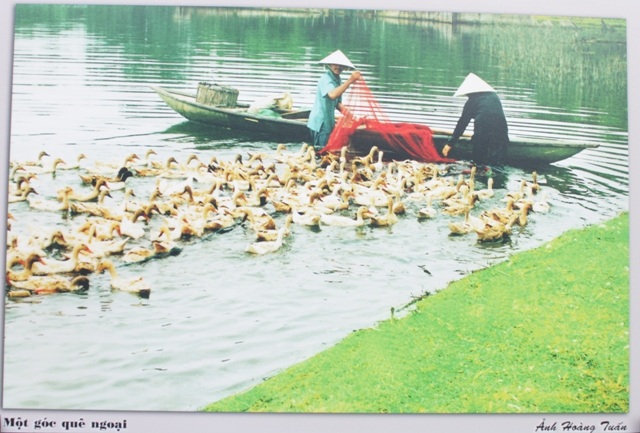 Một góc quê ngoại