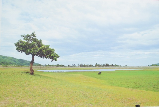 Quê hương bình yên