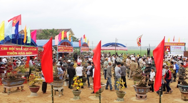 Toàn cảnh hội thi mai những ngày gần đến xuân