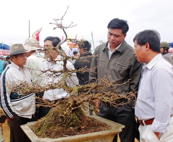 Đông đảo người dân và du khách tớ