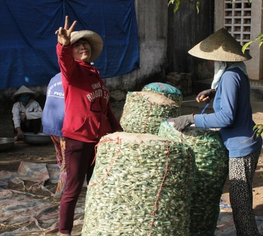 Được mùa kiệu người dân vui như trẻ con được thưởng