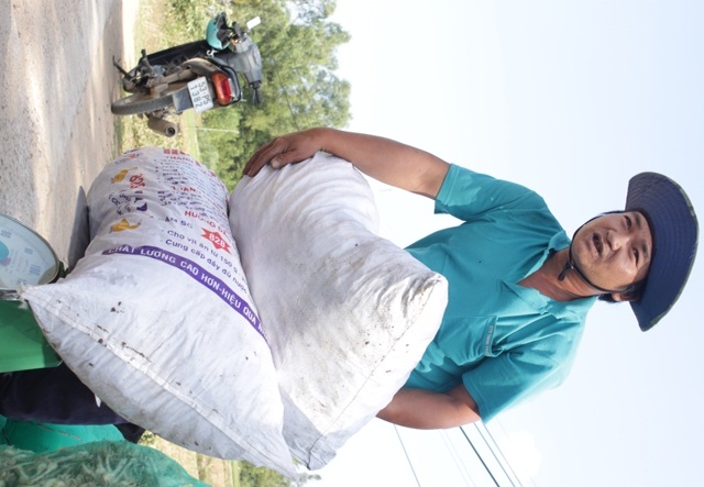 Được mùa kiệu người dân vui như trẻ con được thưởng