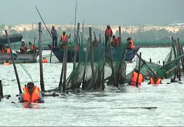 Cưỡng chế 19 hộ lấn chiếm mặt nước nuôi trồng thủy sản - 1 Lực lượng chức năng cưỡng chế các hộ lấn chiếm trái phép trên đầm Thị Nại