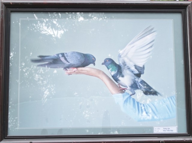 Tác phẩm: Nâng niu trong trưng bày trong triển lãm