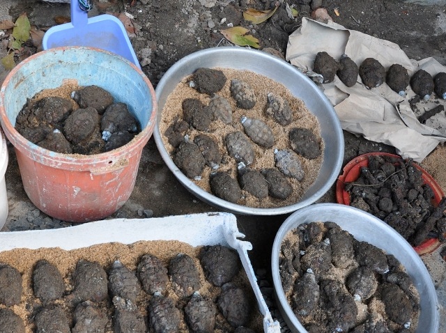 Số lượng lựu đạn và nhiều chất nổ được phát hiện ở nhà bà Huyền