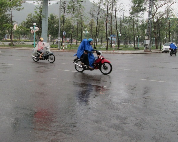 Mưa vừa cũng khiến con người và cây trồng được giải khát (Ảnh: Doãn Công)