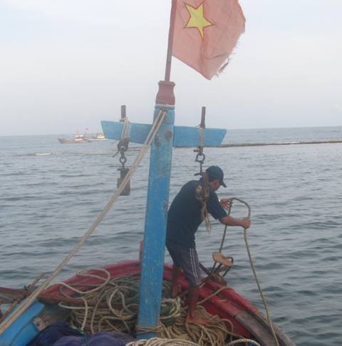 Trắng đêm săn tôm hùm giống