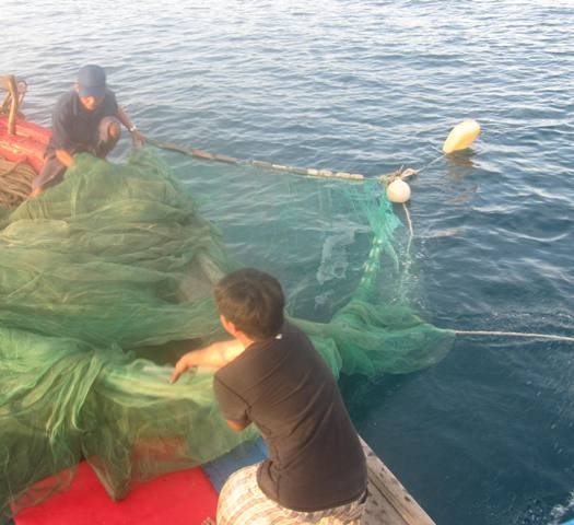 Những mét lưới được thả xuống biển