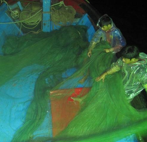 Căng mắt tìm tôm hùm