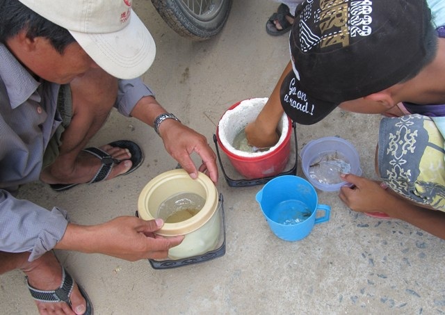 Trắng đêm săn tôm hùm giống - 7 Tôm hùm được nuôi trong thùng xốp chờ nhiều khách hàng tới mua