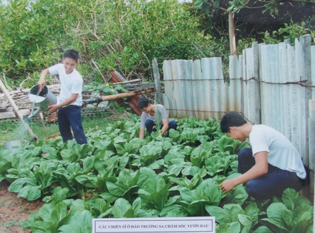 Các chiến sĩ ở đảo Trường Sa chăm sóc vườn rau