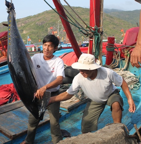 Biển ta, ta cứ đánh bắt chẳng sợ gì cả