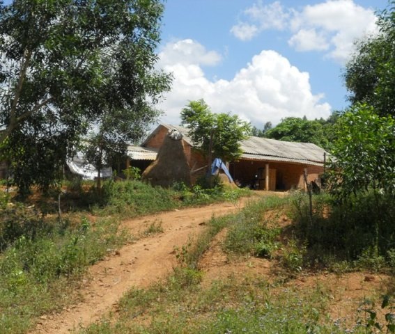 Trang trại của ông Trí nằm ở trên núi Kim Sơn