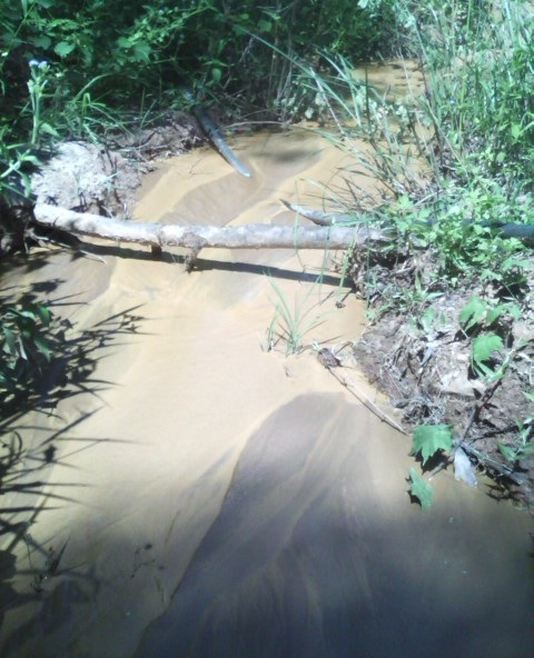 Nước thải từ việc đãi vàng chảy liên tục ngày đêm