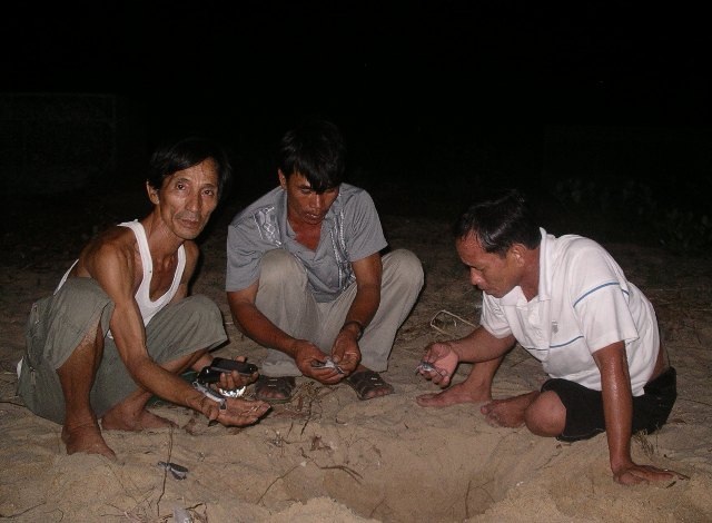 Các thành viên đội bảo vệ rùa biển xã Nhơn Hải có mặt để đưa rùa con về với biển an toàn