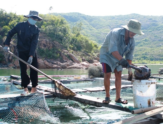 Người dân nỗ lực vớt dầu cứu cá