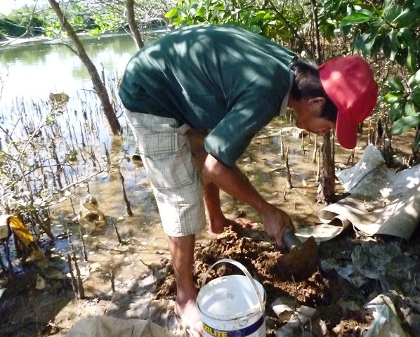 Anh Kiểm hàng ngày vẫn đi đào trùn biển (Hải Sâm) để lo cho vợ con qua ngày