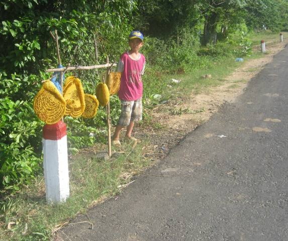 Cẩn trọng với tổ ong ruồi bày bán dọc đường