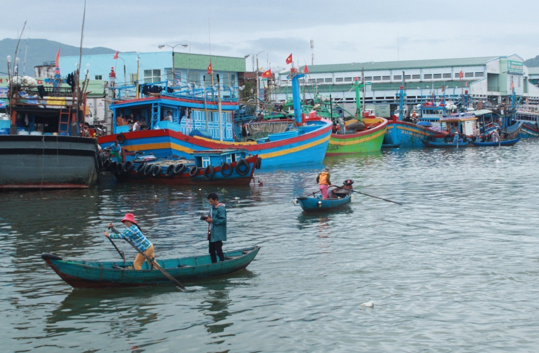 Các tàu thuyền vào nơi neo đậu tại cảng Quy Nhơn