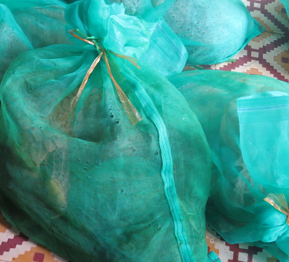 Toàn bộ tê tê được cơ quan chức năng Phú Yên bắt giữ