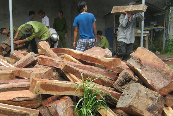 Toàn bộ số gỗ đang được tạm giữ tại Ban quản lý rừng đặc dụng Krông Trai