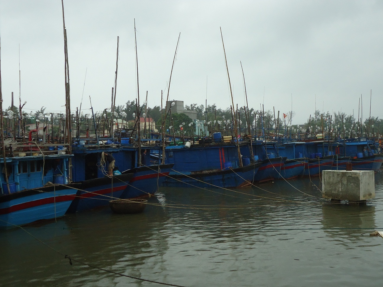 Nghiêm cấm tàu thuyền ra khơi khi đang có bão