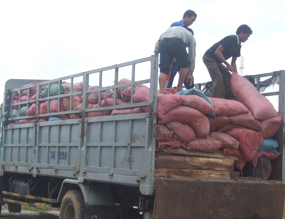 Phương tiện và tang vật đang bị tạm giữ tại Hạt Kiểm lâm huyện Sông Hinh