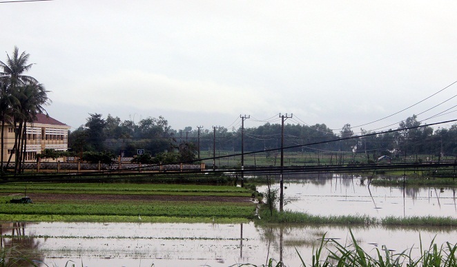 Hoa màu của người dân mấp mé mặt nước (ảnh Nhạn Sơn)