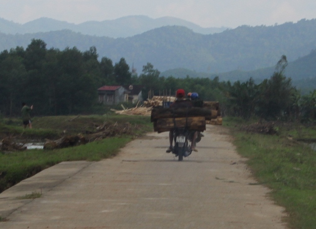 Lâm tặc đi thành từng tốp khi gặp cơ quan chức năng sẵn sàng chống trả lại 