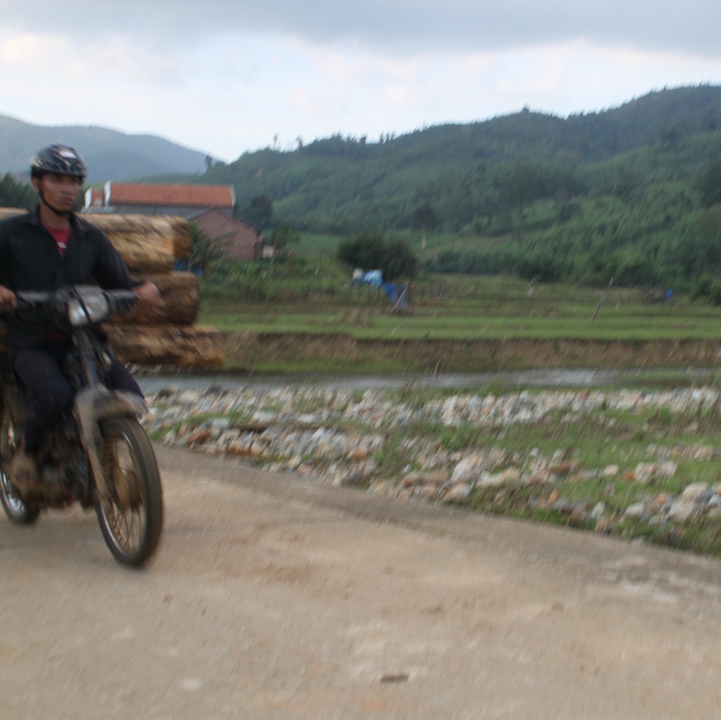 Ngang nhiên vận chuyển gỗ lậu giữa ban ngày