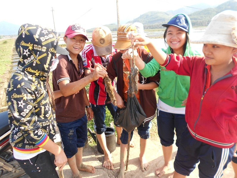 Học sinh lội ruộng diệt chuột bảo vệ mùa vụ