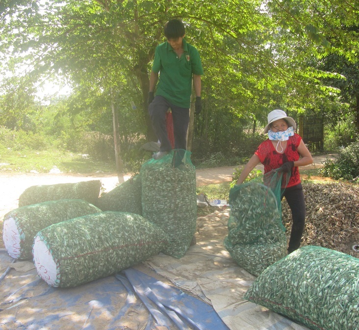 Kiệu được tập kết chuẩn bị đưa vào Nam phục vụ người tiêu dùng dịp Tết nguyên đán.