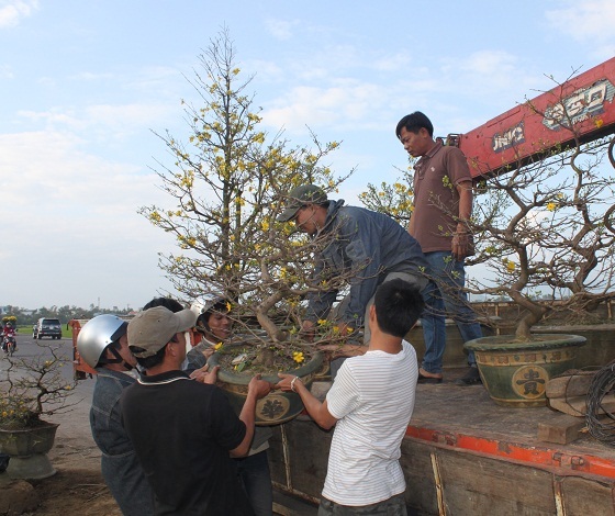 Thu dọn về ăn Tết sớm vì ế