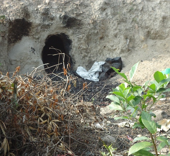 Nhiều hầm than trong rừng phòng hộ đầu nguồn hồ Cây Thích bị Kiểm lâm phá hủy