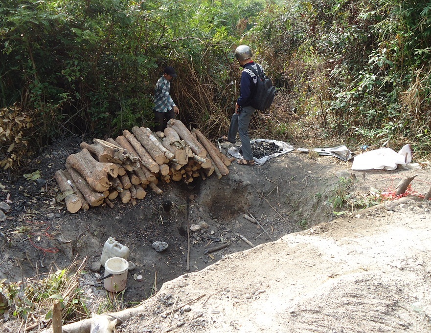 Gỗ rừng được tập kết chuẩn bị cho vào lò hầm than