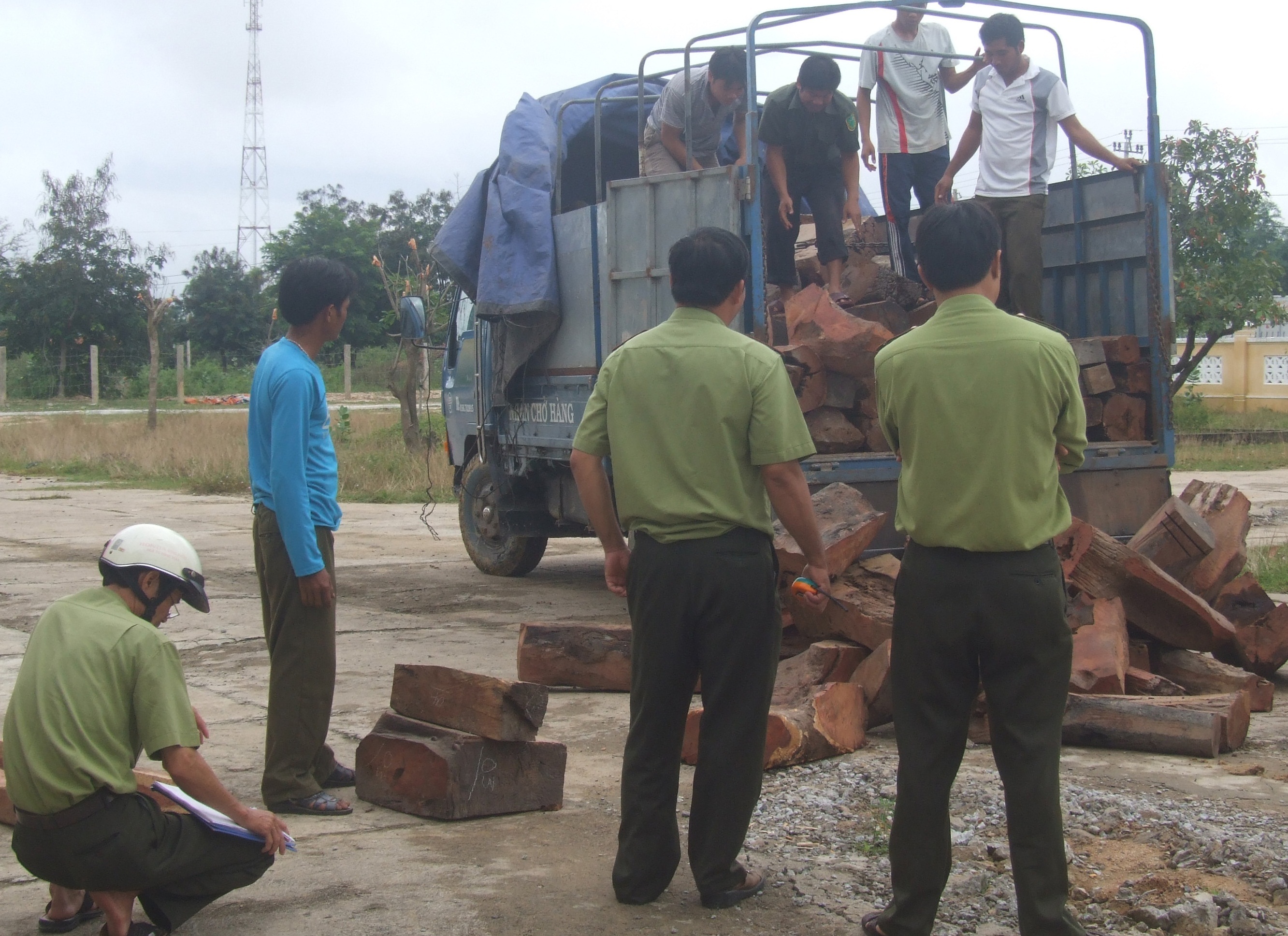 Lực kiểm lâm bắt toàn bộ số gỗ hương quý hiếm