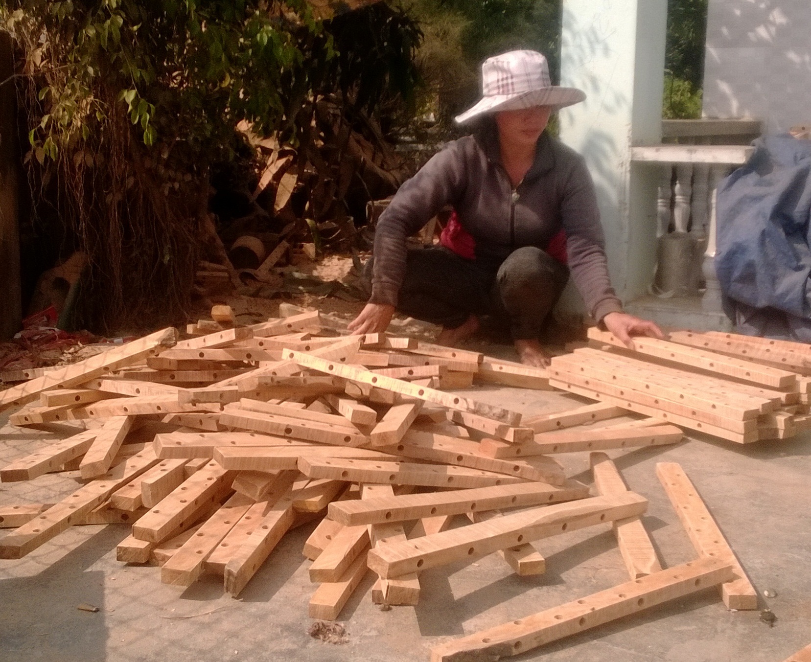 Đánh bắt tôm hùm giống bằng công nghệ mới dùng cây gỗ khoan lỗ nhỏ kết hơp lưới.