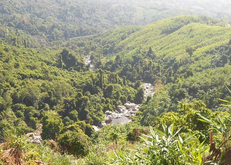 Lâm tặc thuê người bắn tỉa rừng đặc dụng đầu nguồn