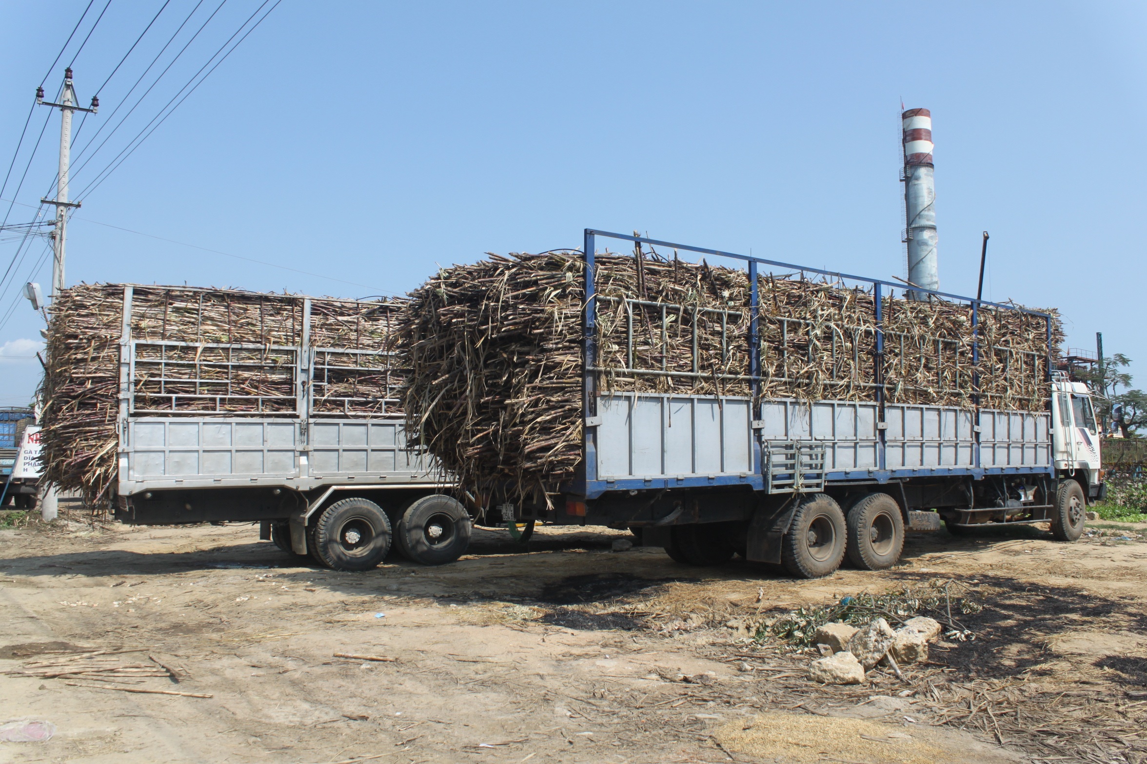 Đang vụ sản xuất mà xe chở mía về nhà máy rất thưa thớt