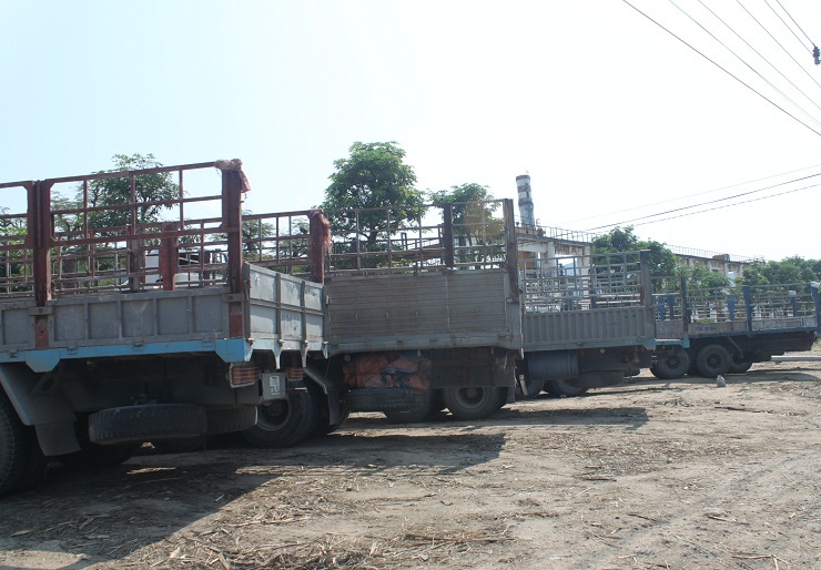 Nhiều xe tải rỗng thùng nằm dày trước Nhà máy đường Bình Định chờ nghe ngóng tình hình 