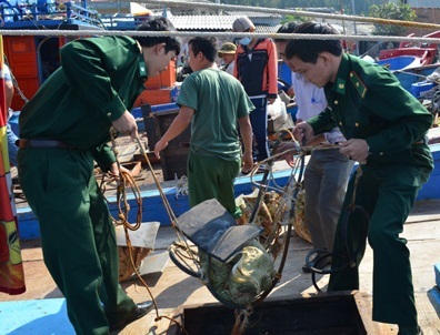 Vỏ trai tai tượng bị bắt giữ (ảnh minh họa)