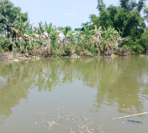 Ao nước gần nhà nơi cháu Đức gặp nạn