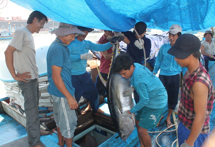 Các thuyền viên trên tàu anh Nguyễn Hứa quyết tâm bám biển, giữ ngư trường