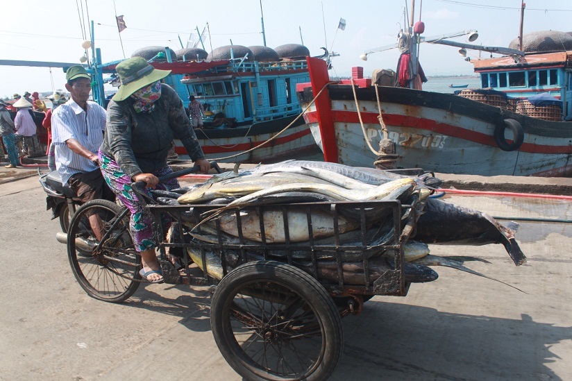 Được mùa cá ngừ đại dương tạo công ăn việc làm cho nhiều phụ nữ địa phương