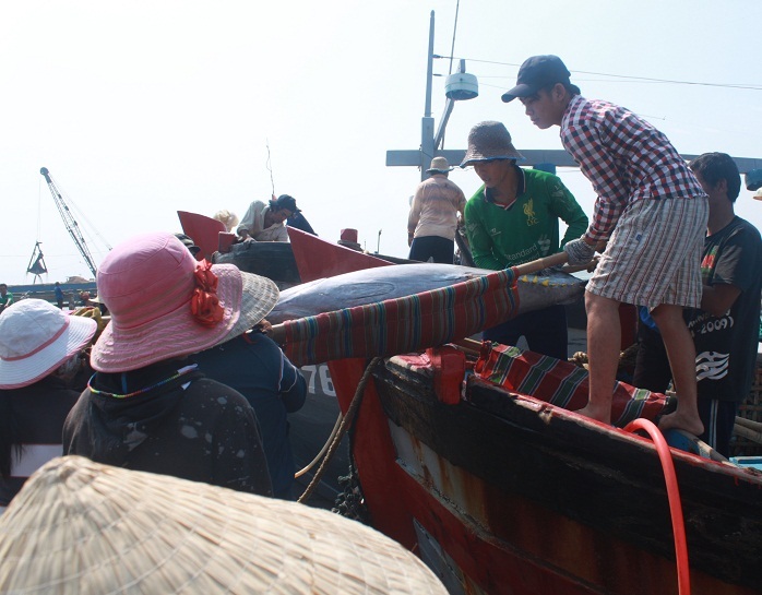 Được mùa cá ngừ đại dương tạo công ăn việc làm cho nhiều phụ nữ địa phương