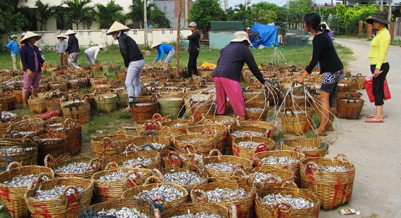 Sau mỗi đêm mỗi thuyền lãi 5-10 triệu đồng