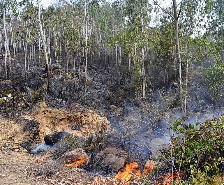 Hiện trường vụ cháy rừng