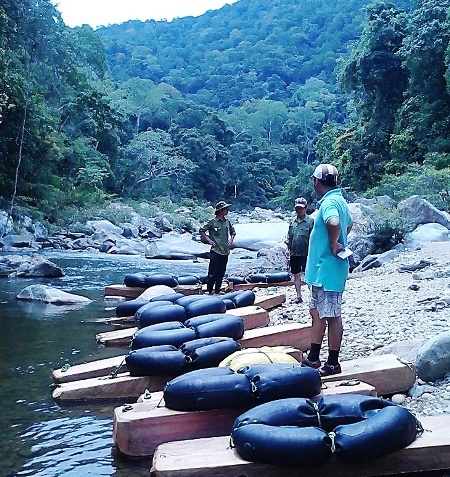 Số gỗ hương tía nhóm 1 được đóng thành bè tập kết bên dòng sông Côn để chuẩn bị đưa đi tiêu thụ